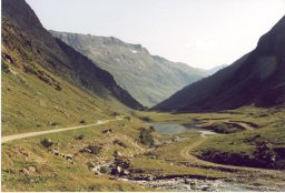 2000-film5-05a