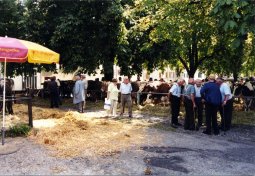 2002-film1-16