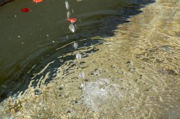 dsc02405