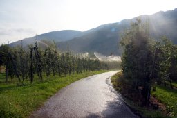 dsc02472