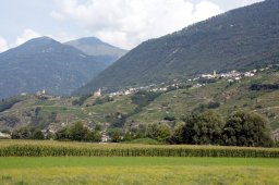 dsc02493