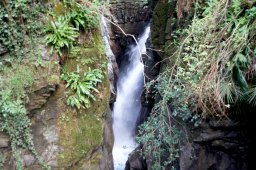 dsc02565