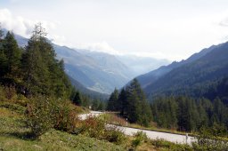 dsc02781