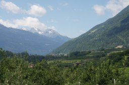 dsc03667