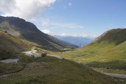 dsc08950
