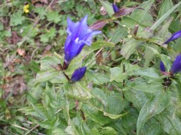 dscn1324