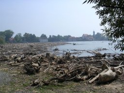 dscn1454