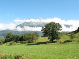 img_0948