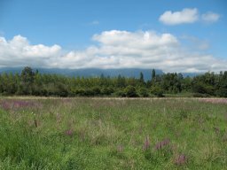 img_0955