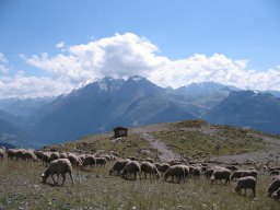 img_1204