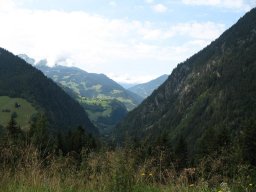 img_1221