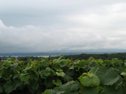img_1275