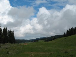 img_1279