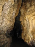 img_1303