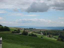 img_1349