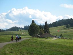 img_1383