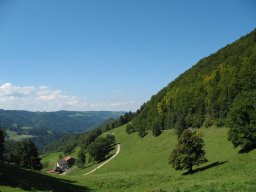 img_1418