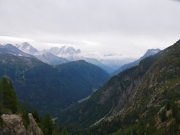 p1000498