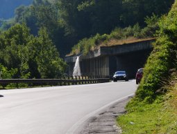 p1000519