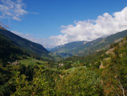 p1000739
