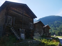 p1000839