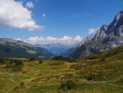 p1000882