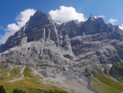 p1000885