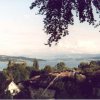 Von Seebrugg nach Zürich 2000