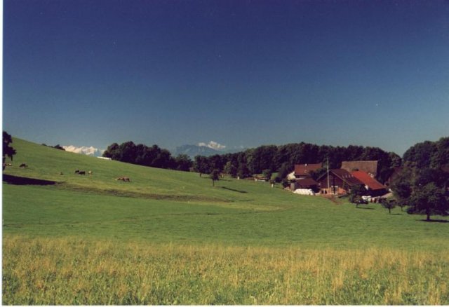 Von Zürich nach Gersau 2000