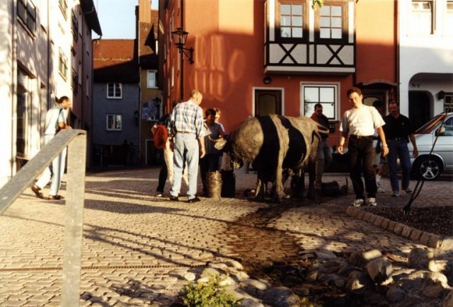 Von Bregenz nach Isny 2001