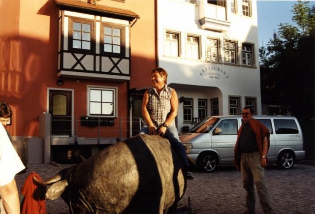 Von Bregenz nach Isny 2001