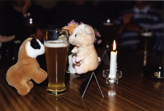 Von Feldkirch nach Konstanz 2001