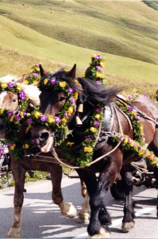 Von Holzgau nach Bregenz 2002