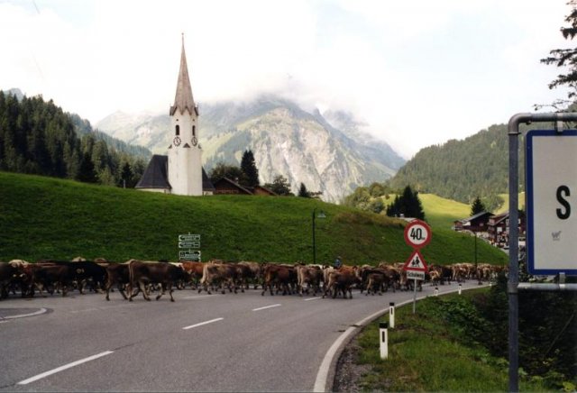 Von Holzgau nach Bregenz 2002