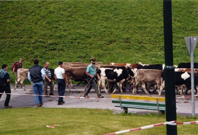 Von Holzgau nach Bregenz 2002