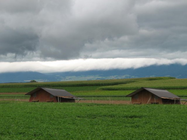 Von Avenches nach Montreux 2007