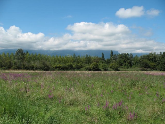 Von Albertville nach Grenoble 2007