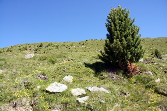 Ausflug zum Rifugio Pizzini 2011
