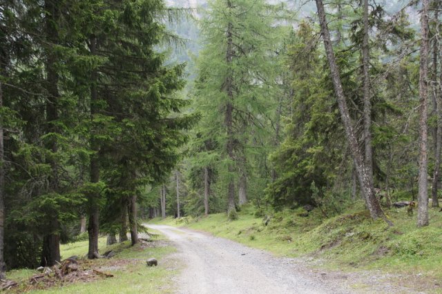 (Kurzer) Ausflug ins Val Vau 2011