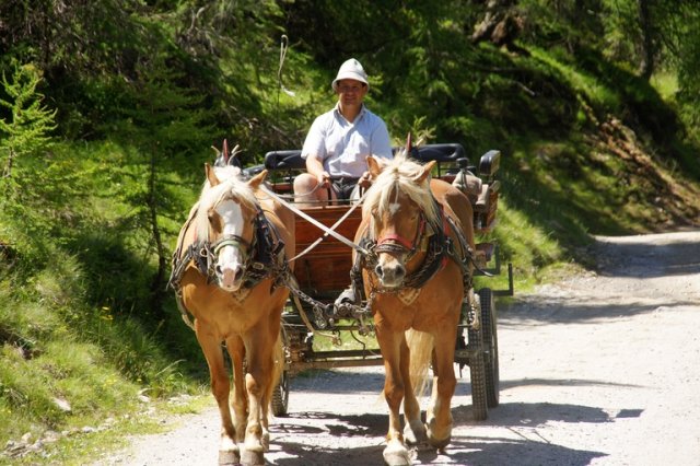 Ausflug zur Lazinser Alm 2011