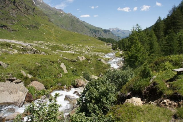 Ausflug zur Lazinser Alm 2011