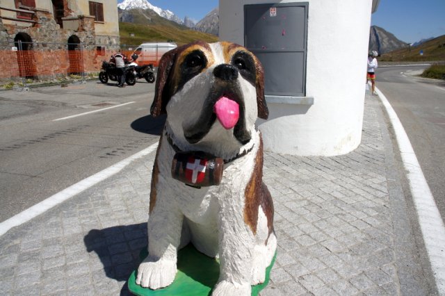 Von Séez nach Aosta 2014