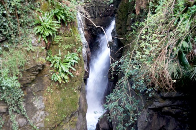 Ausflug zum Monte Legnoncino 2018