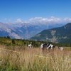 Von Verbier nach Sierre