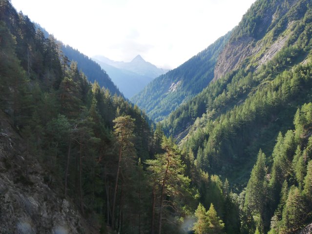 Ausflug zur Alp Schinerewyssi