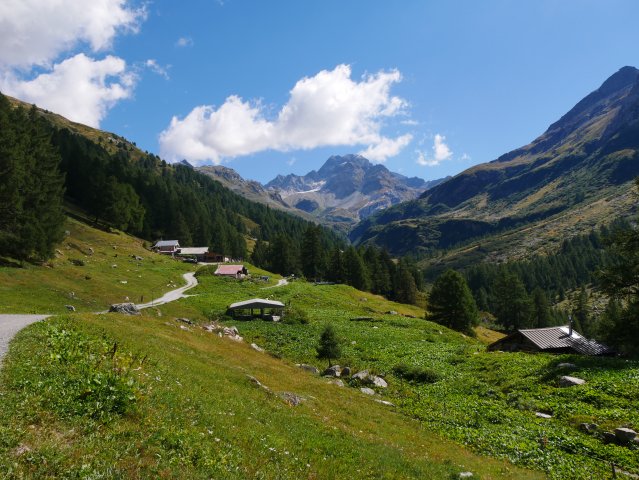 Ausflug zur Alp Schinerewyssi