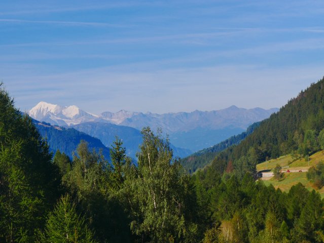 Von Fiesch zum Grimselpass und Oberaarsee